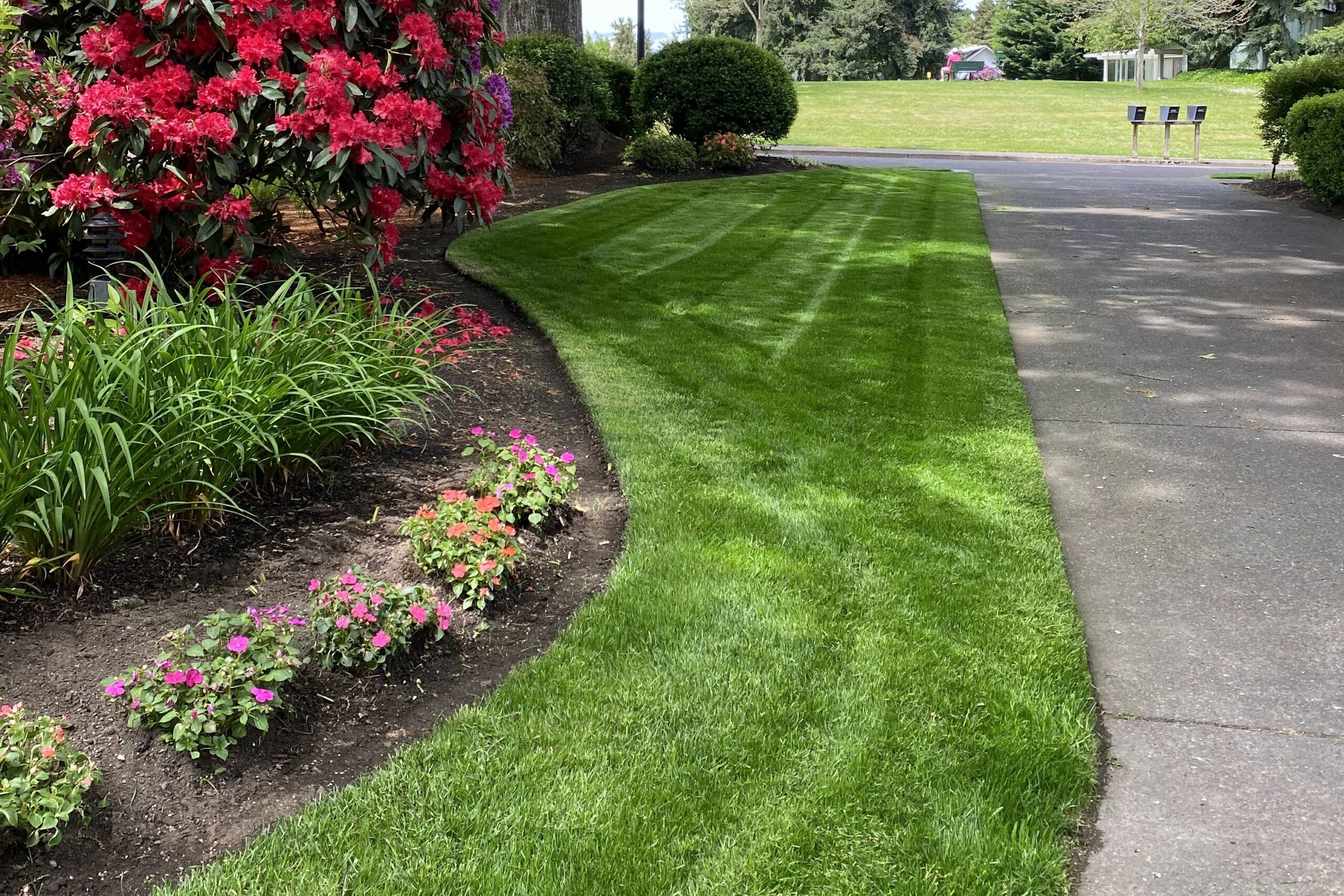 Lawn Maintenance